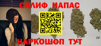 мдпв Тара
