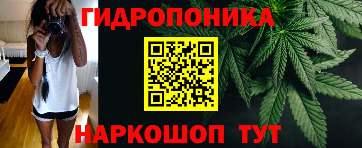 Марихуана марихуана  Вход с VPN  Нурлат  Бошки Шишки AK-47  Марихуана ГИДРОПОН 